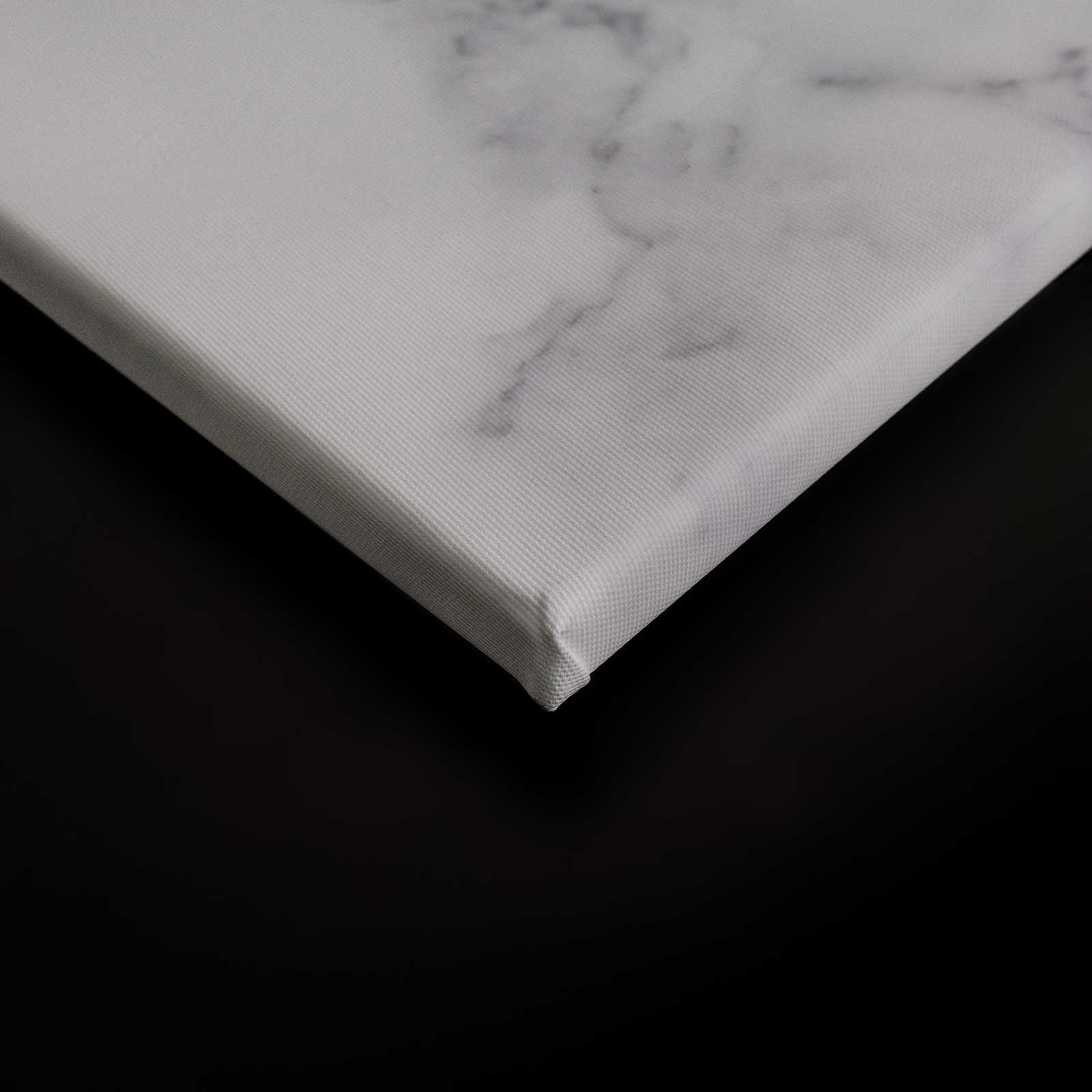             Leinwand mit Marmor-Optik – 0,90 m x 0,60 m
        