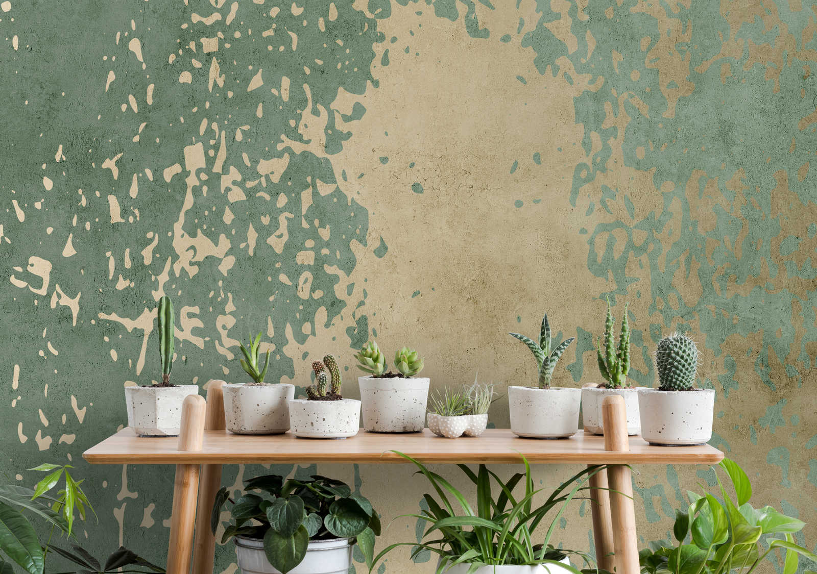 Pflanze, Gebäude, Mauer, Tabelle, Topfpflanze