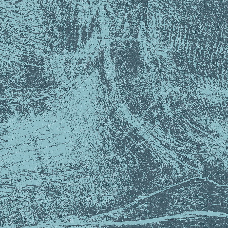         Fototapete 'Kühlende Holzmaserung' – Moderne Holzoptik in sanften Blautönen, glatte Oberfläche – Grau, Blau
    