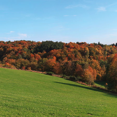 landscape, Herbstlaub, Herbstfarben, grünes Feld, Hügelwald