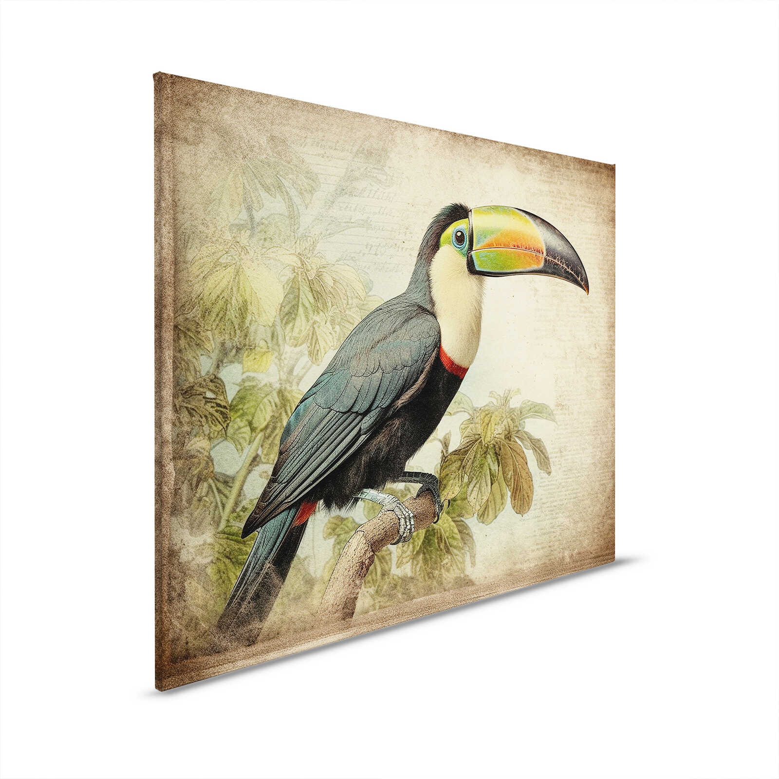         Leinwandbild Exotischer Tukan - Tropische Eleganz für Ihre Wand – 40 x 50 cm - Beige, Schwarz
    