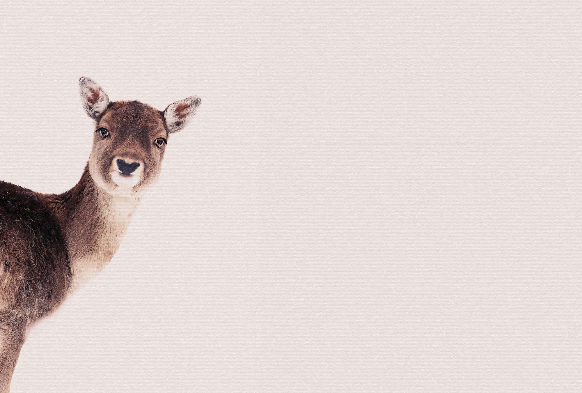             Bosdier Behang Hert in Sepia Portret Kijk
        