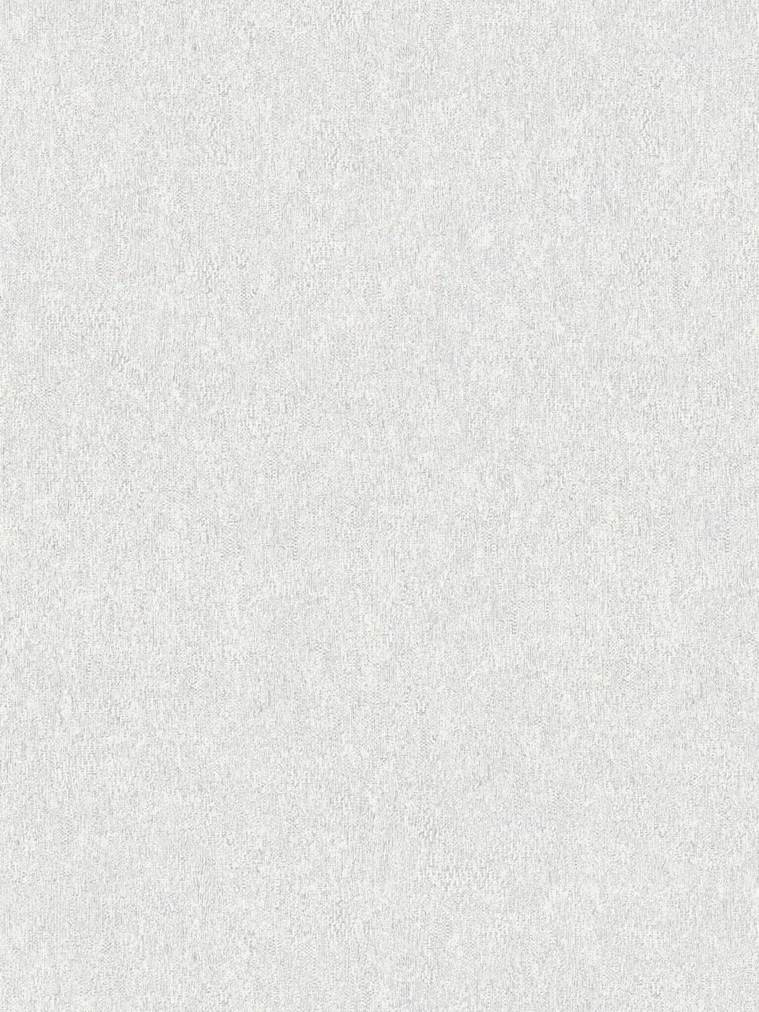         Vliestapete matt mit Strukturoptik – Hellgrau, Silber
    