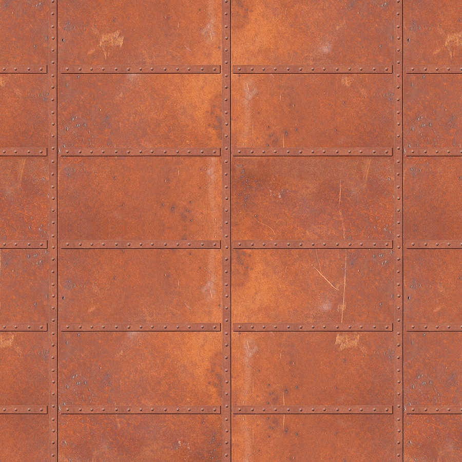 rust, Metall, Panel, geriffelt, Netz