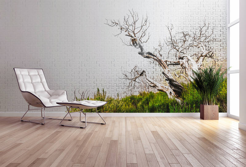 Fußboden, Innenarchitektur, Bodenbeläge, Holz, Mauer