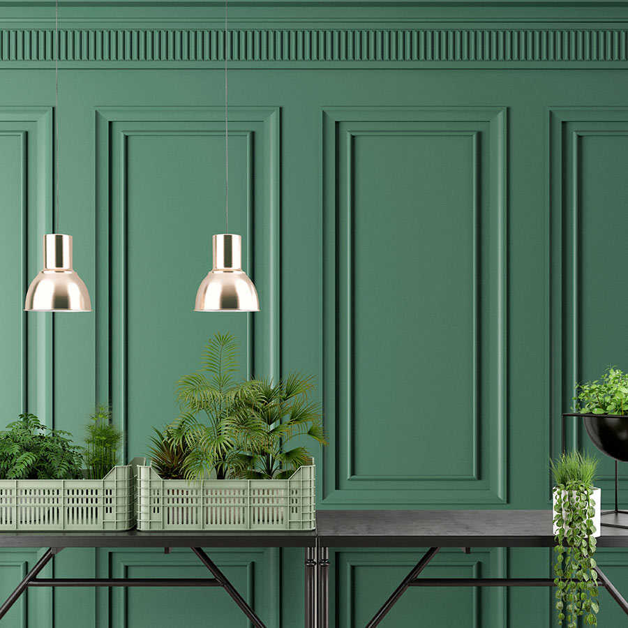 Pflanze, Pflanze im Topf, Innenarchitektur, Tür, Pflanzgefäß