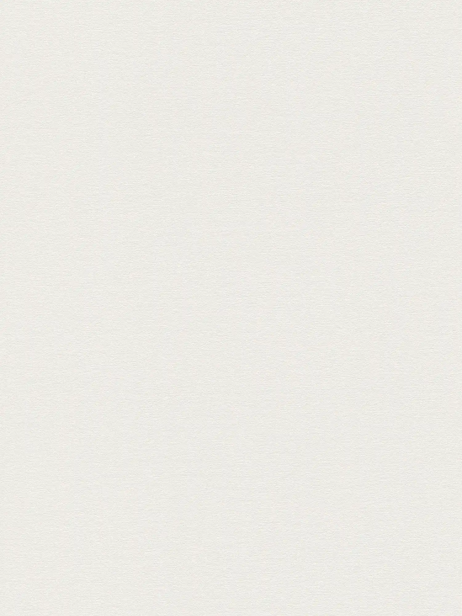         Design-orientated plain non-woven wallpaper with subtle surface pattern, lightly textured - white, cream
    
