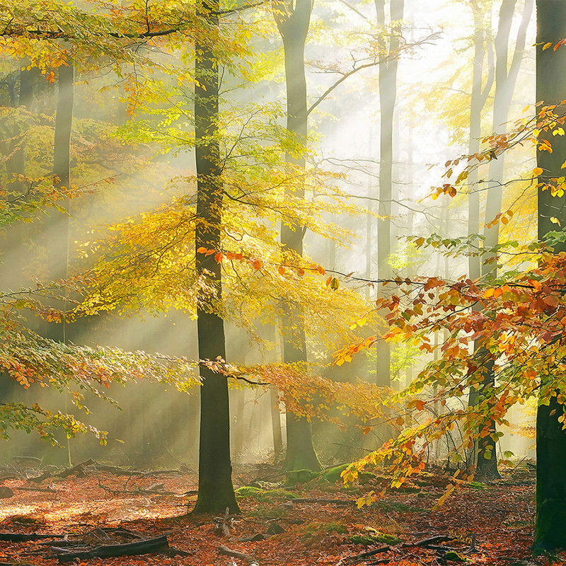         Architects Paper Fototapete AP Digital 4
    