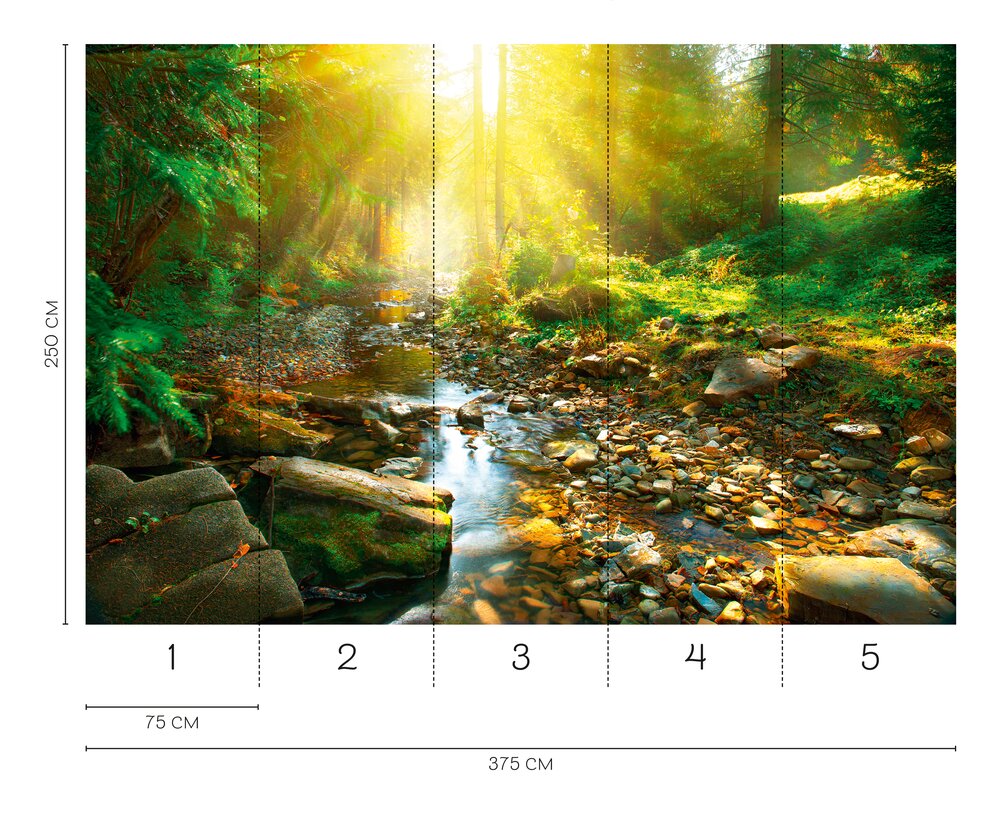             Lichtdurchflutete Wald-Fototapete mit idyllischem Fluss als Vliestapete – Bunt
        