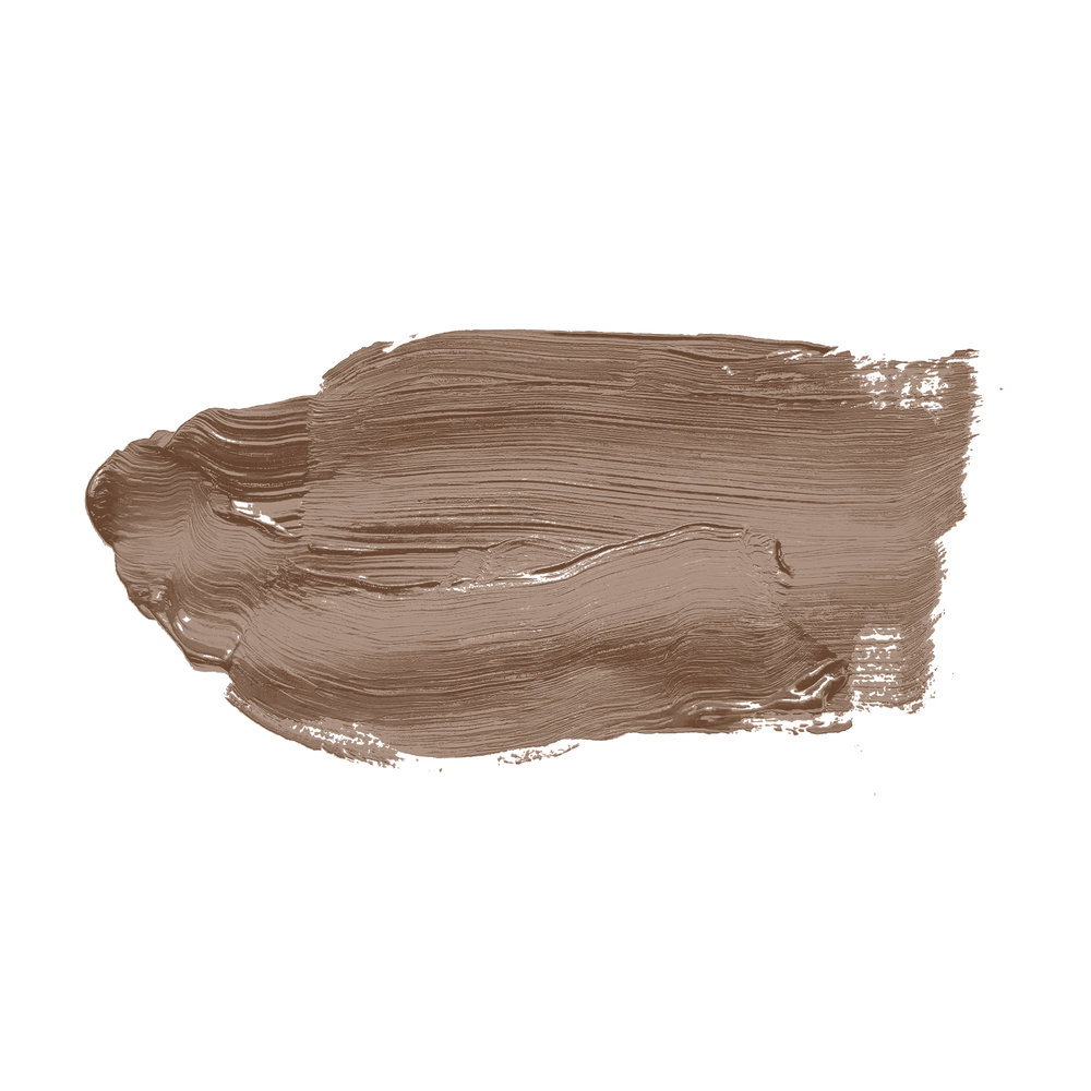 Make-up, Foundation, Liquid, Concealer, Creamy-brown