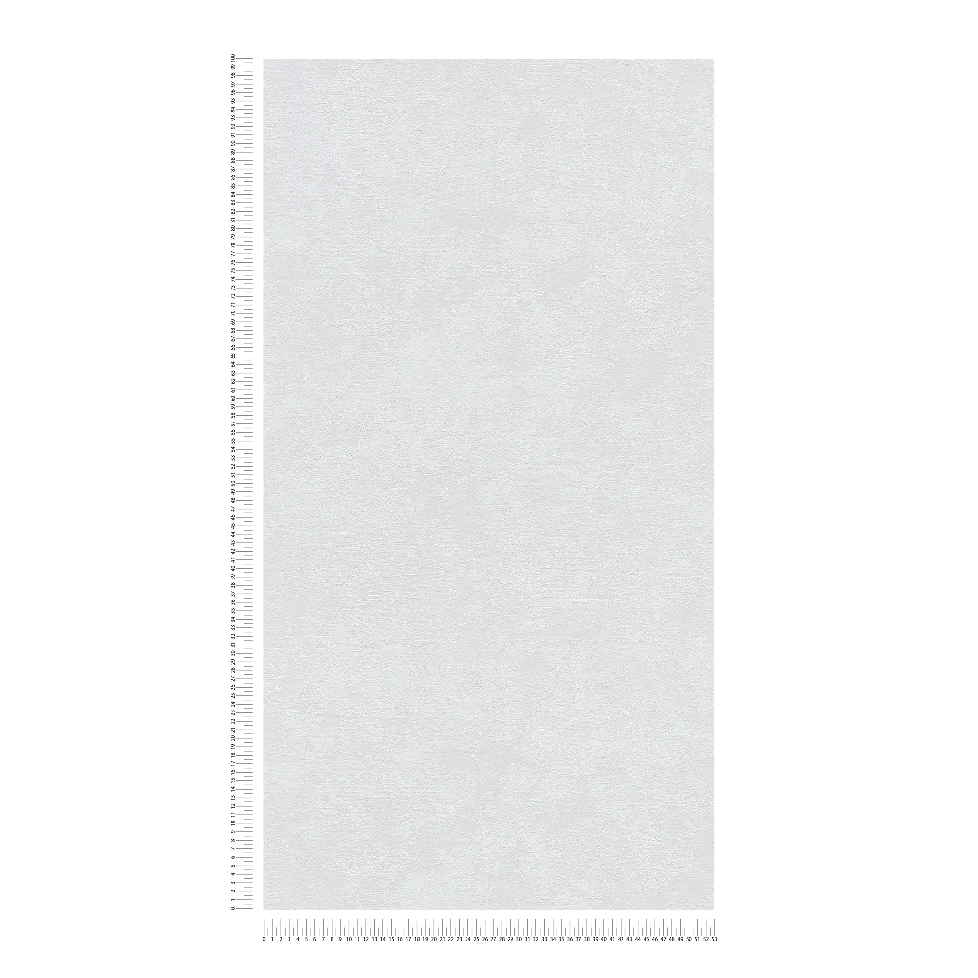             Vliestapete mit Putzstruktur & Textureffekt – Beige
        