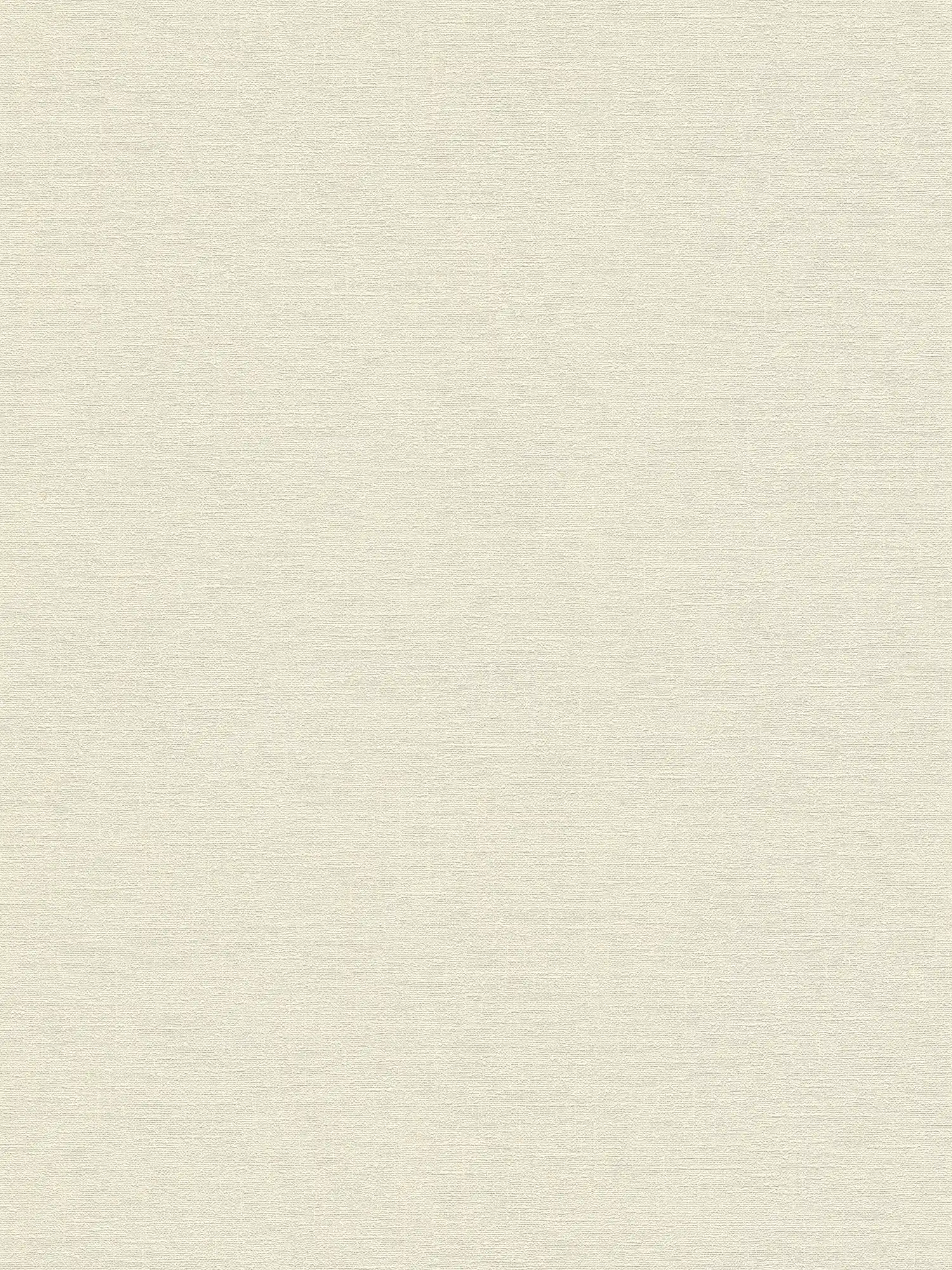         PVC-free plain non-woven wallpaper with fine structure - white
    