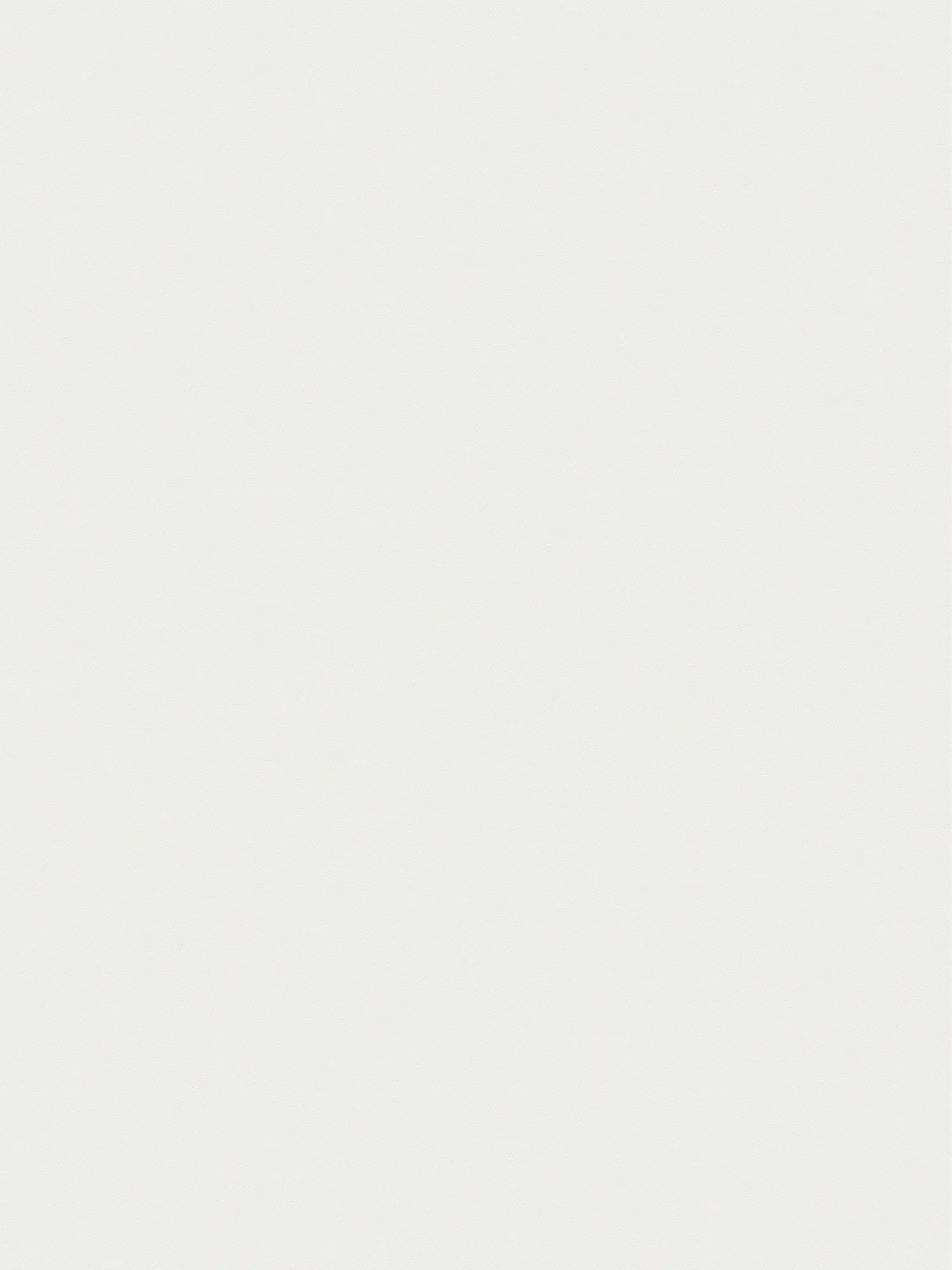         XXL non-woven wallpaper - "Das Uni" from wallpaper shop - 1.06m double width - single-coloured and subtly textured - chalk white
    