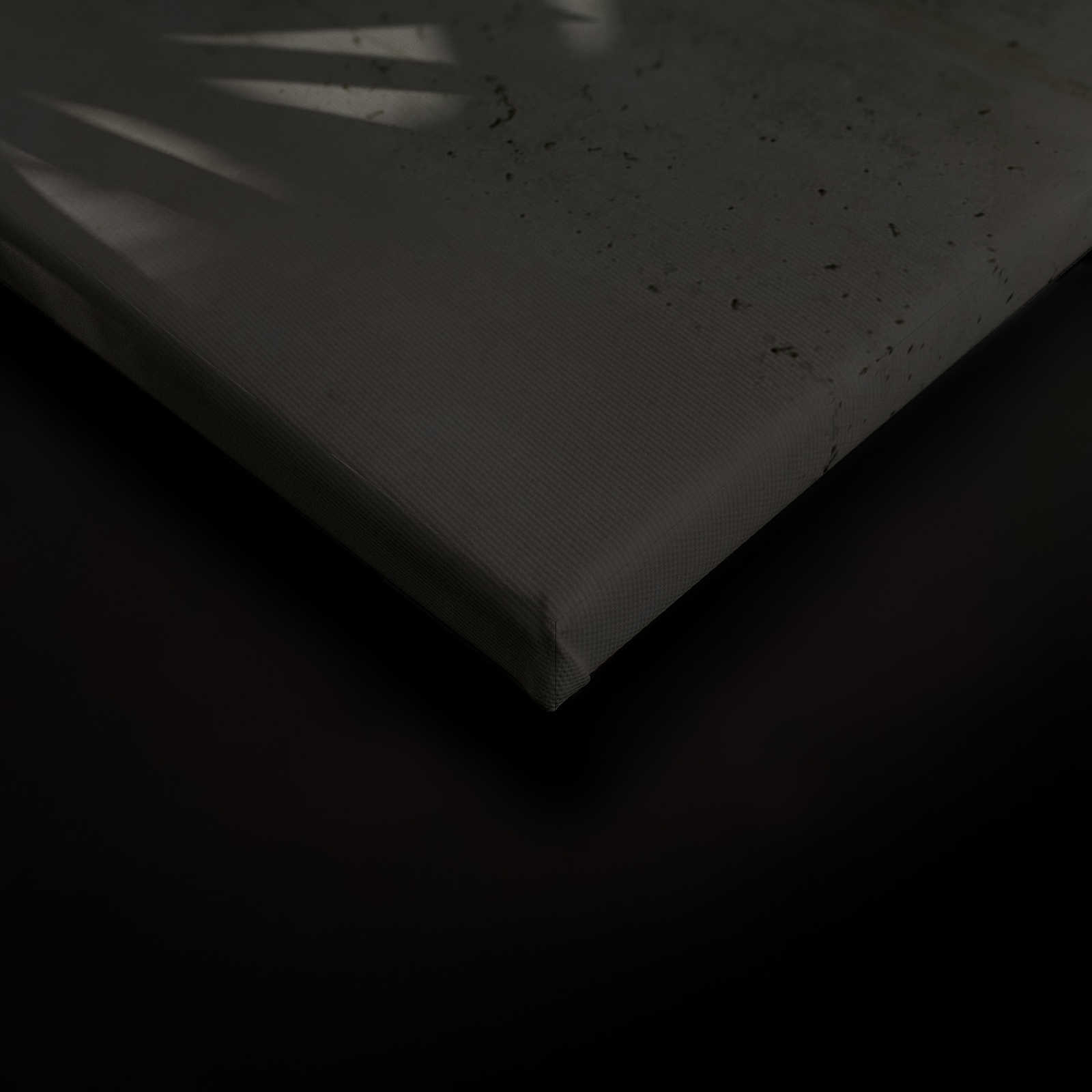             Leinwandbild Schatten von Palmenblättern auf Betonwand – 0,90 m x 0,60 m
        