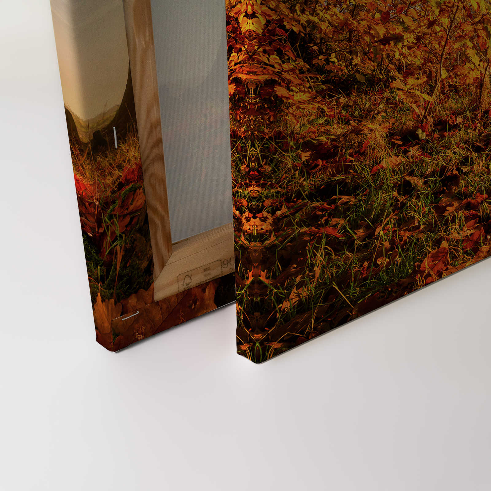             Leinwandbild Bank im Wald an einem Herbstmorgen – 0,90 m x 0,60 m
        