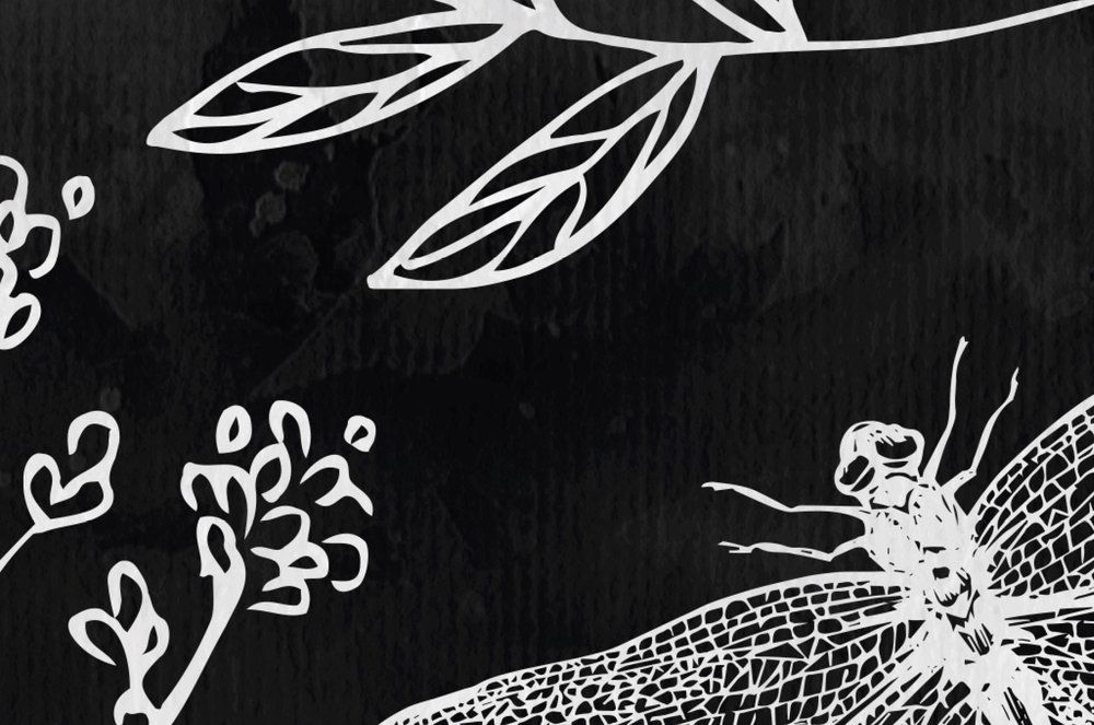             Schwarz-Weiß Fototapete Libellen & Blumen
        