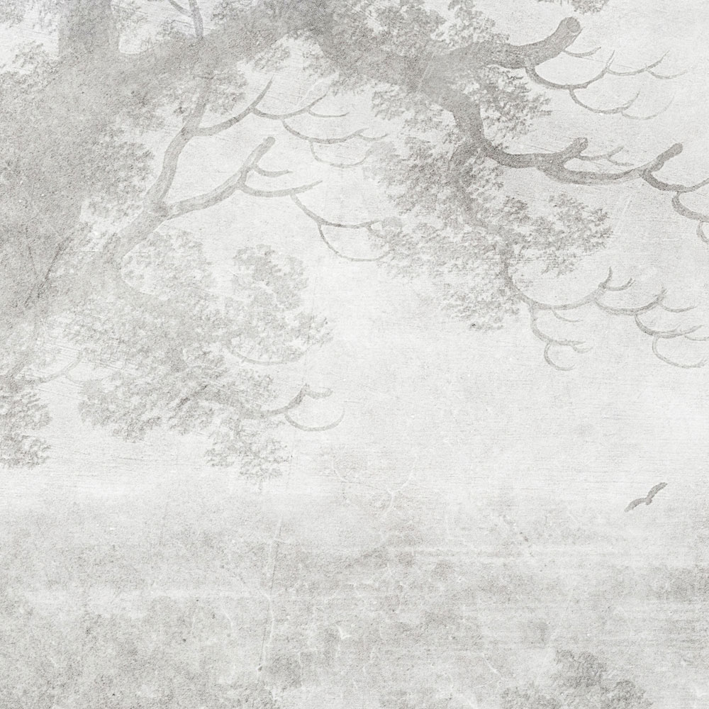 Draußen, Textur, Natur