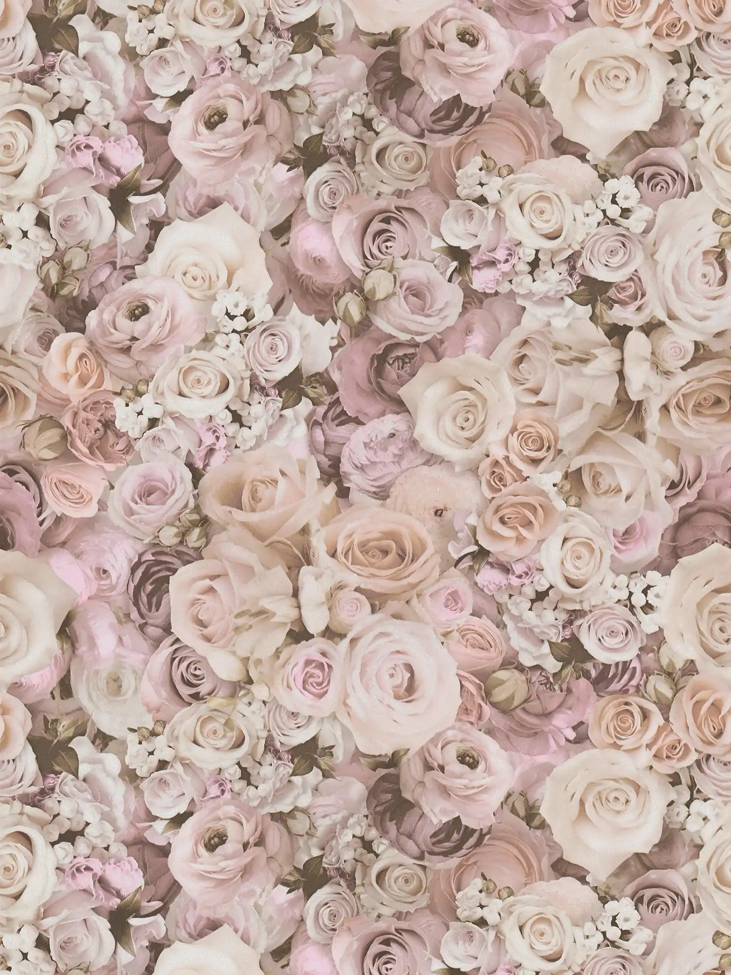         Selbstklebende Tapete | Blumenmuster mit Rosen – Rosa, Creme
    