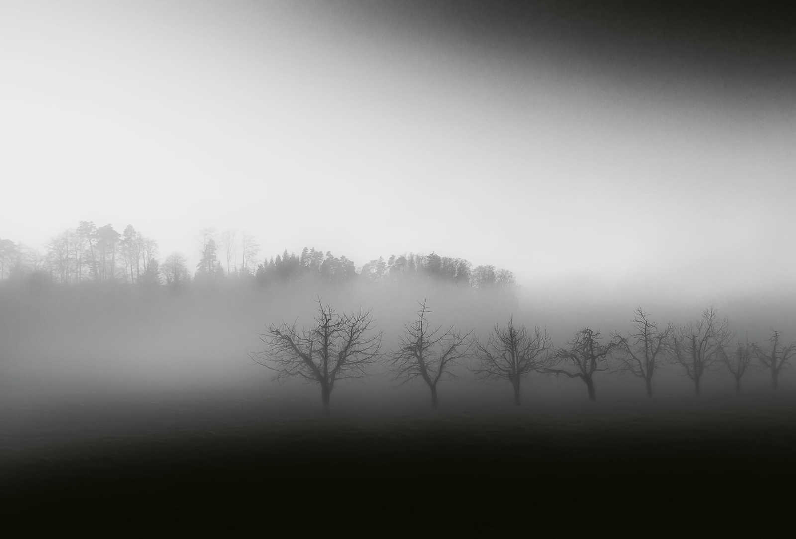         Fototapete Landschaft mit Nebel – Schwarz, Weiß, Grau
    