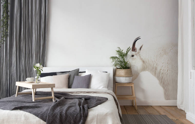Schlafzimmer, weiße Wand, Ziege Wandbild, Pflanzen, Nachttisch