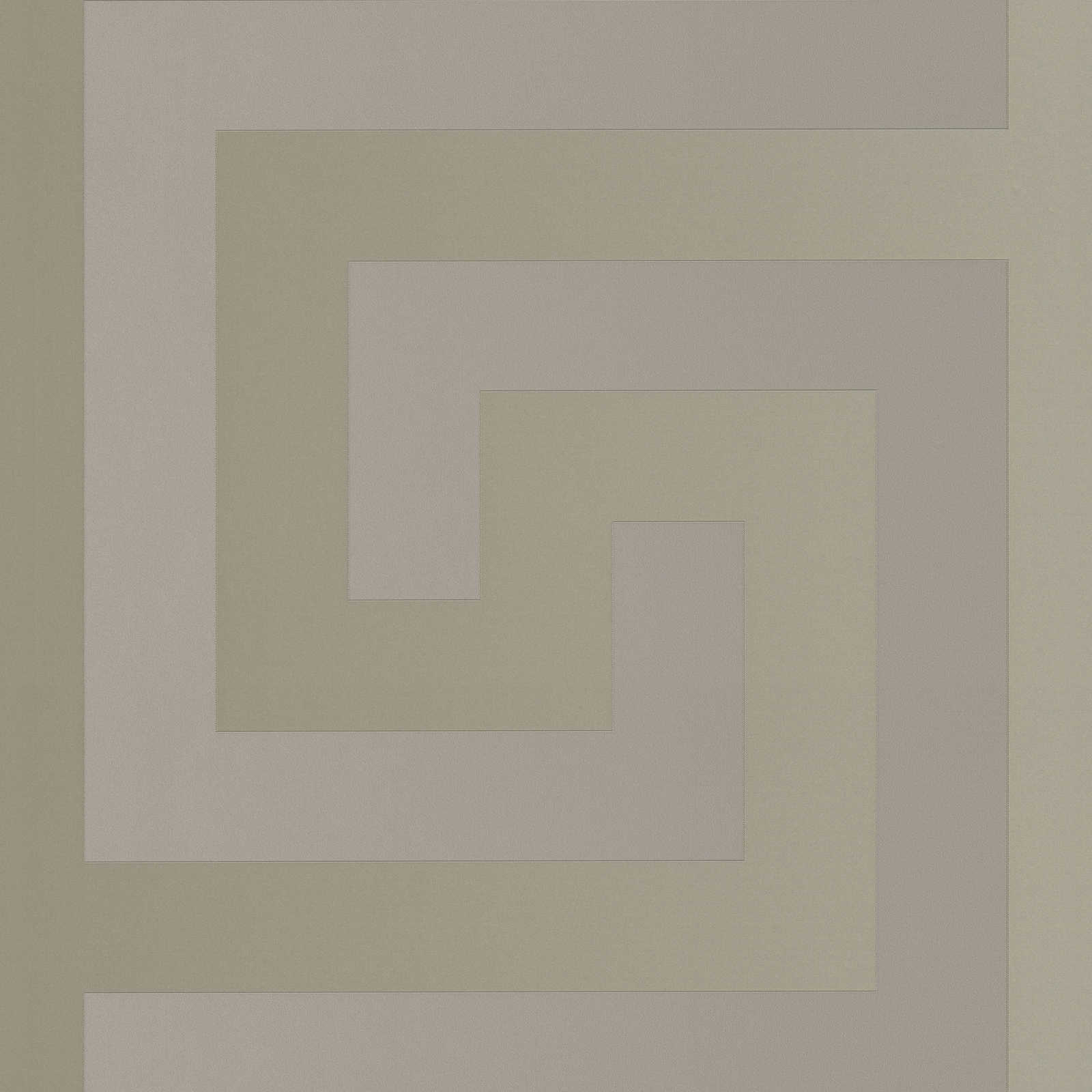         Papier peint argenté VERSACE Design méandres métalliques - Gris
    