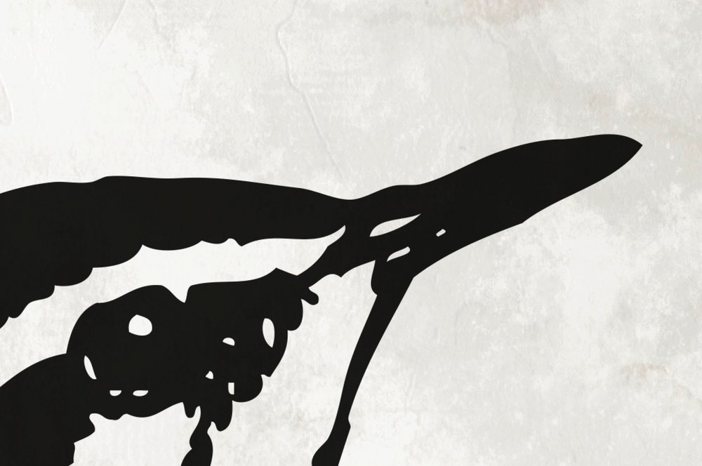 Insekt, Wirbellose, Wespe, Schablone, Silhouette