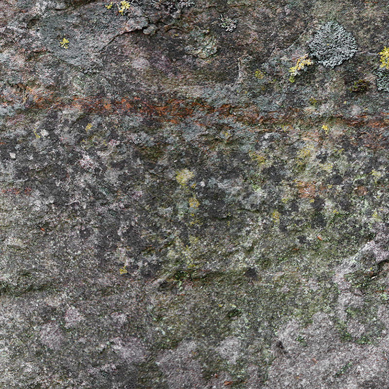 Stein, Moos, Flechte, Felsen, verwittert
