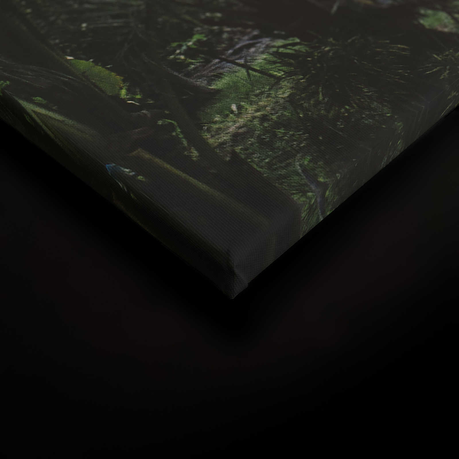 Leinwandbild mit Weg durch einen tropischen Dschungel – 0,90 m x 0,60 m