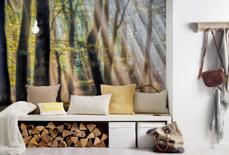             Architects Paper Fototapete AP Digital 4
        