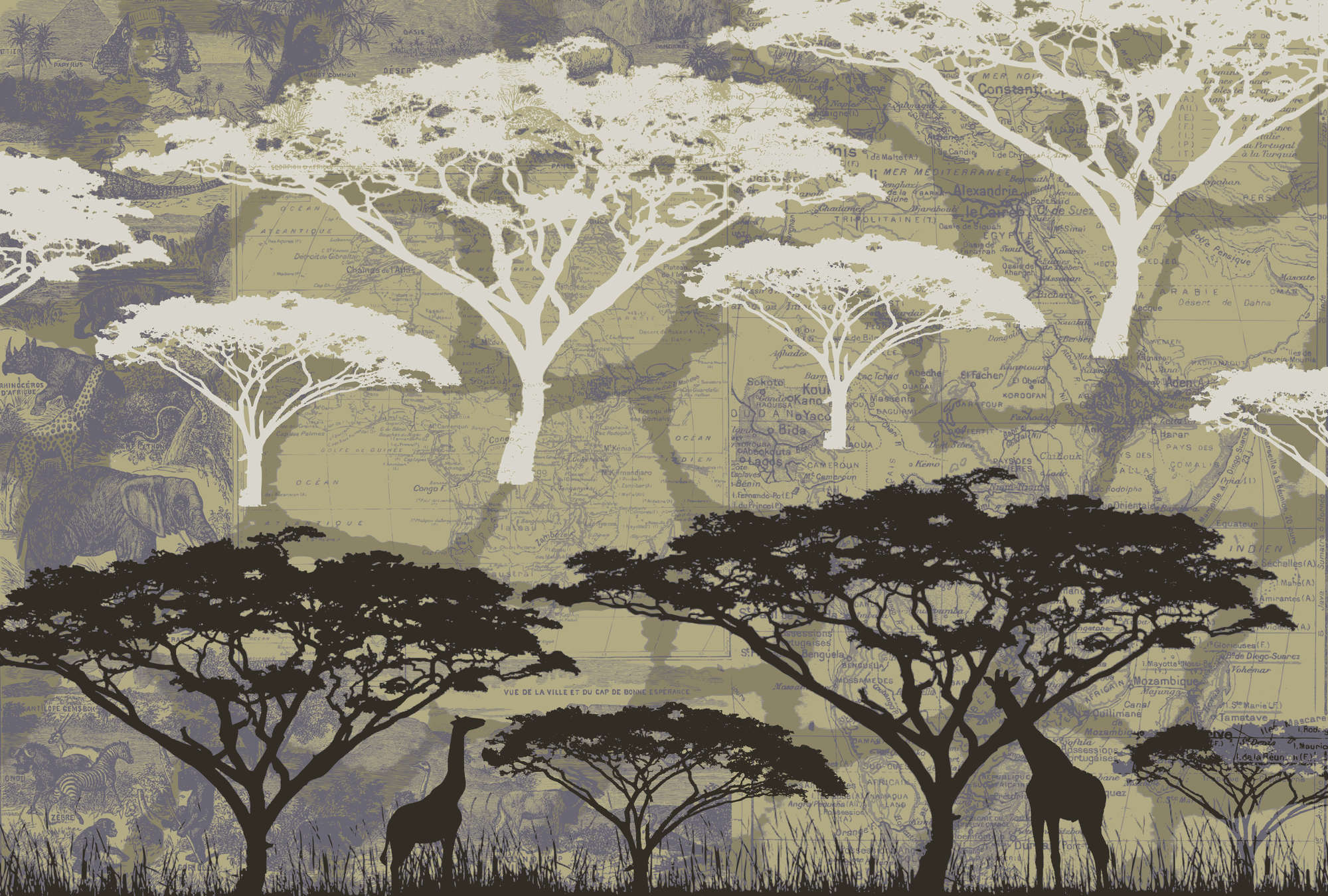 Afrika, Savanne, Giraffen, Silhouetten, Weltkarte