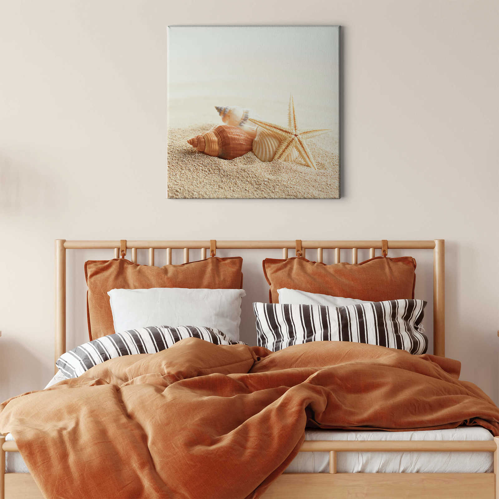 Quadratisches Keilrahmenbild Seestern und Muscheln – 0,50 m x 0,50 m