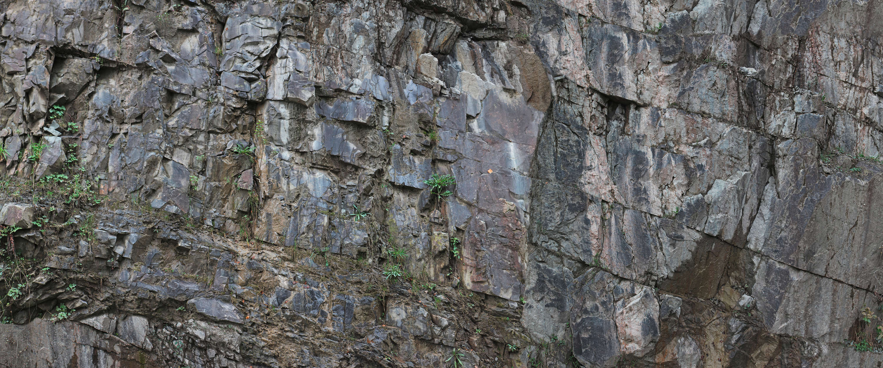             Fototapete mit Felsgestein und Pflanzen
        