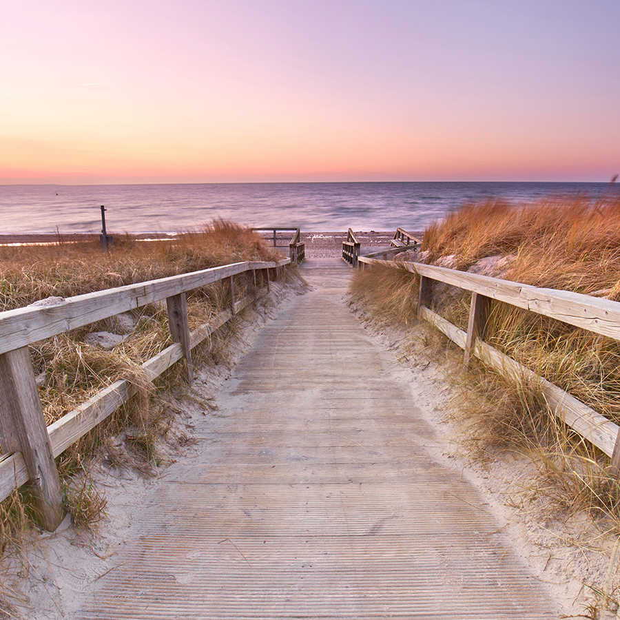         Natuurbehang Houten pad door duinen naar het strand op premium glad fleece
    