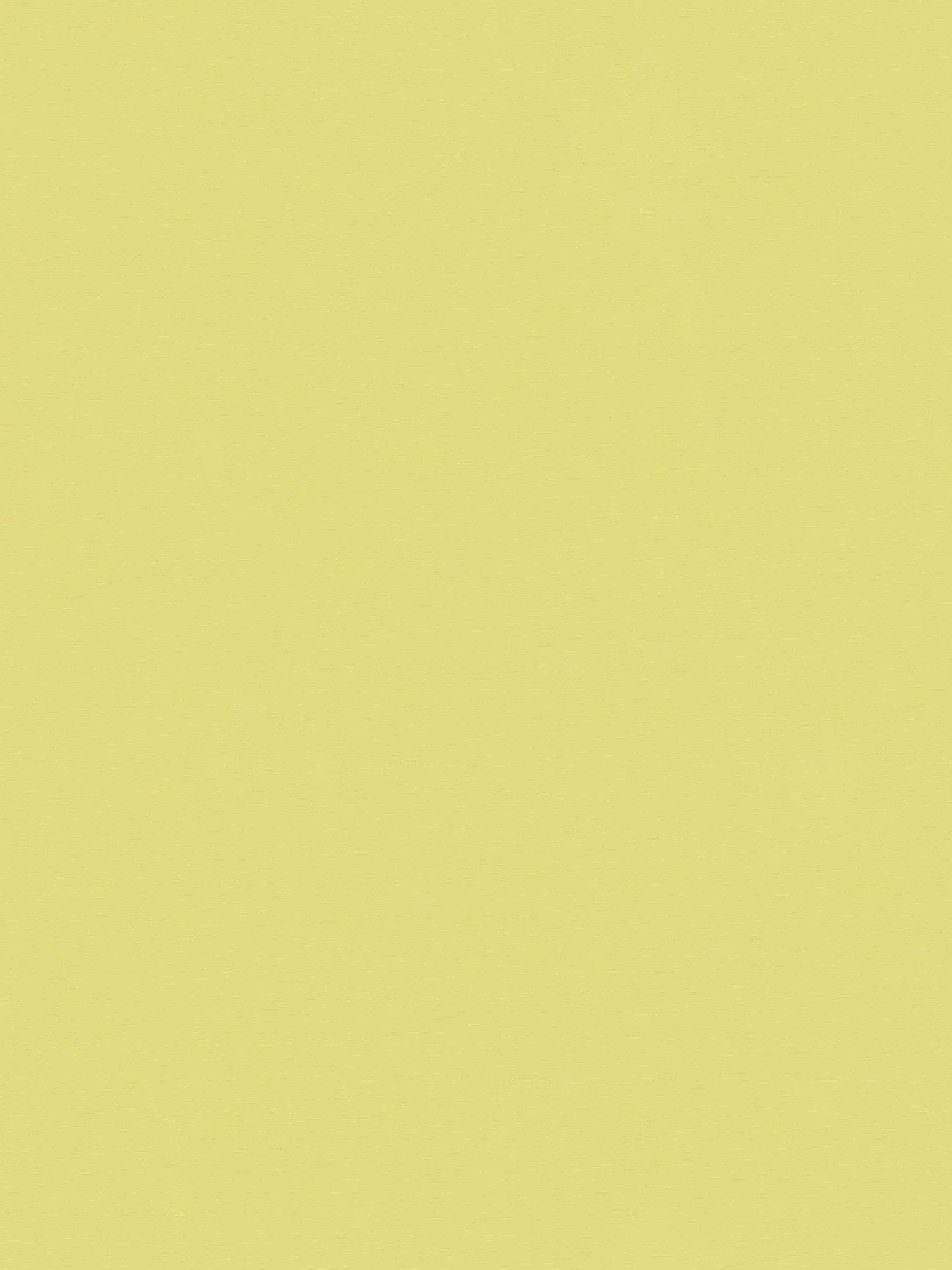 Hellgrüne Tapete einfarbig Frühlingsfarbe mit Struktureffekt