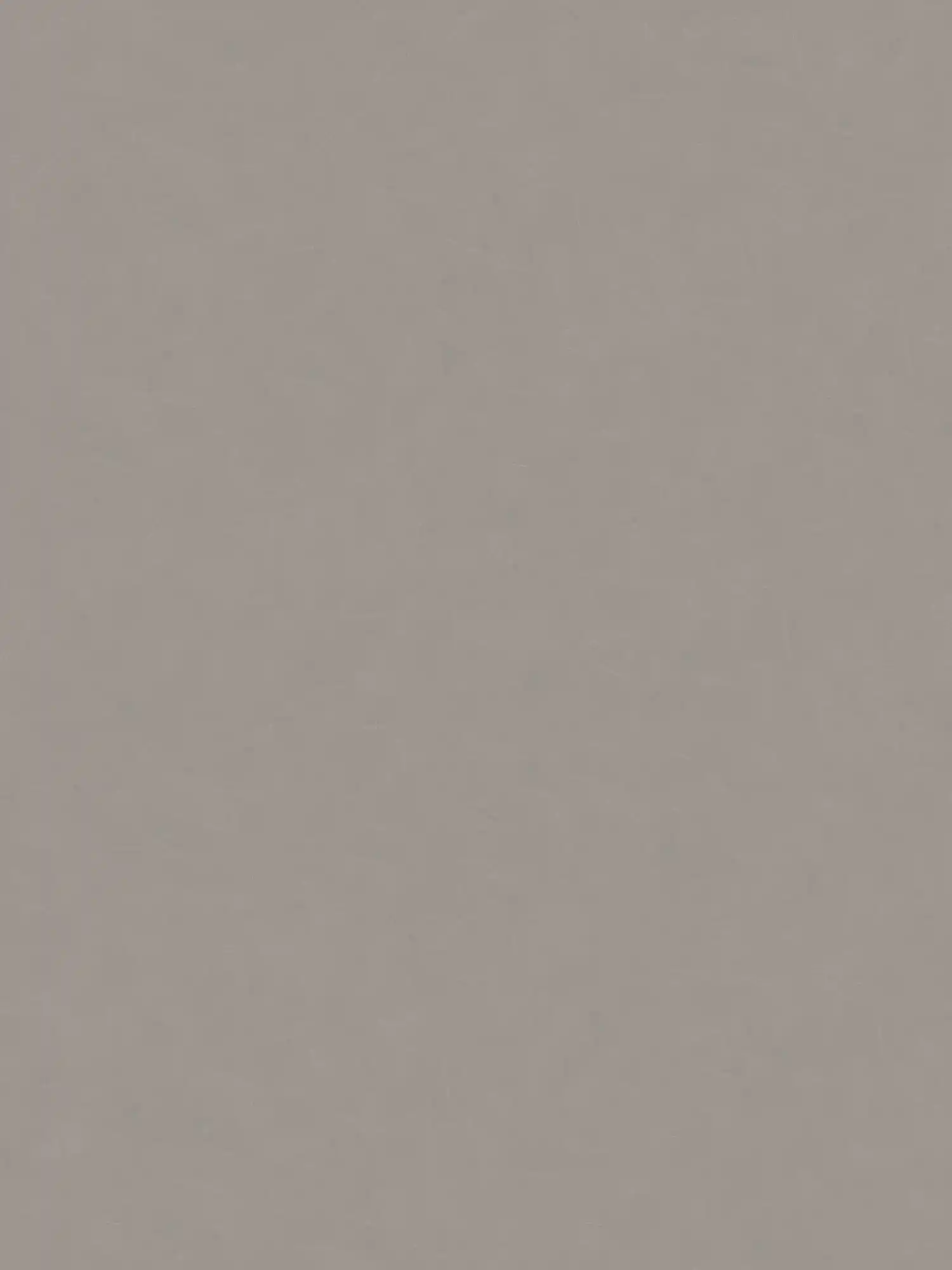 Putzoptik-Tapete Uni mit Strukturmuster – Grau, Taupe
