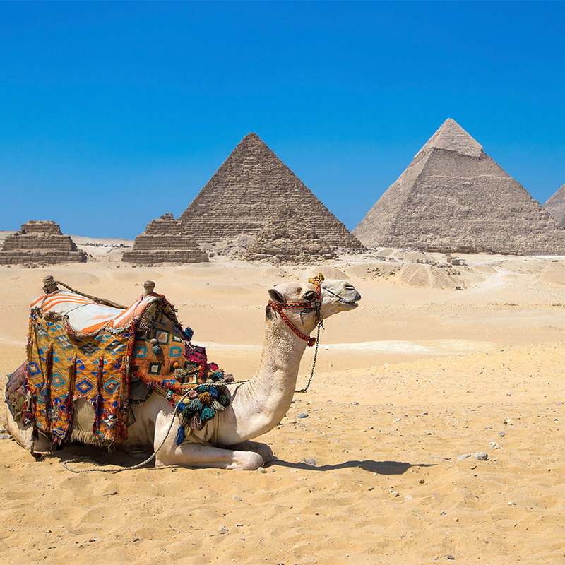 Kamel, Wüstenlandschaft, Konstruktionen, Pyramiden, Sahara