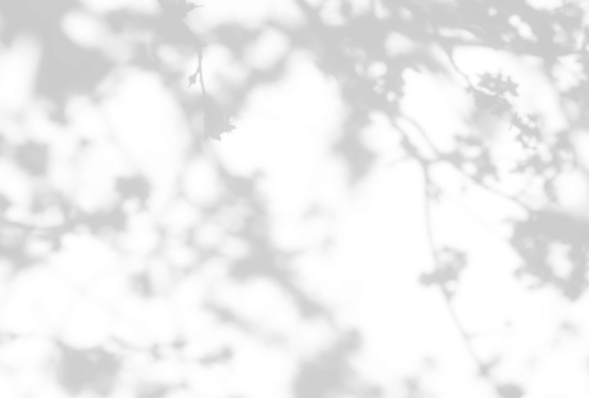             Light Room 1 – Fototapete Natur Schatten in Grau & Weiß
        