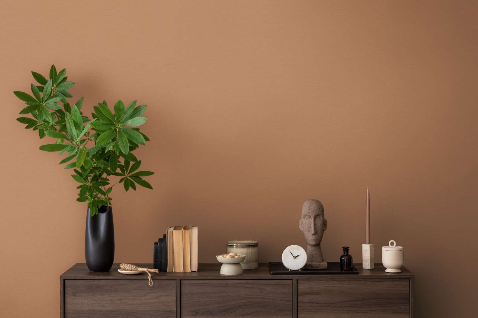 Pflanze, Drinnen, Innenarchitektur, Mobiliar, Person