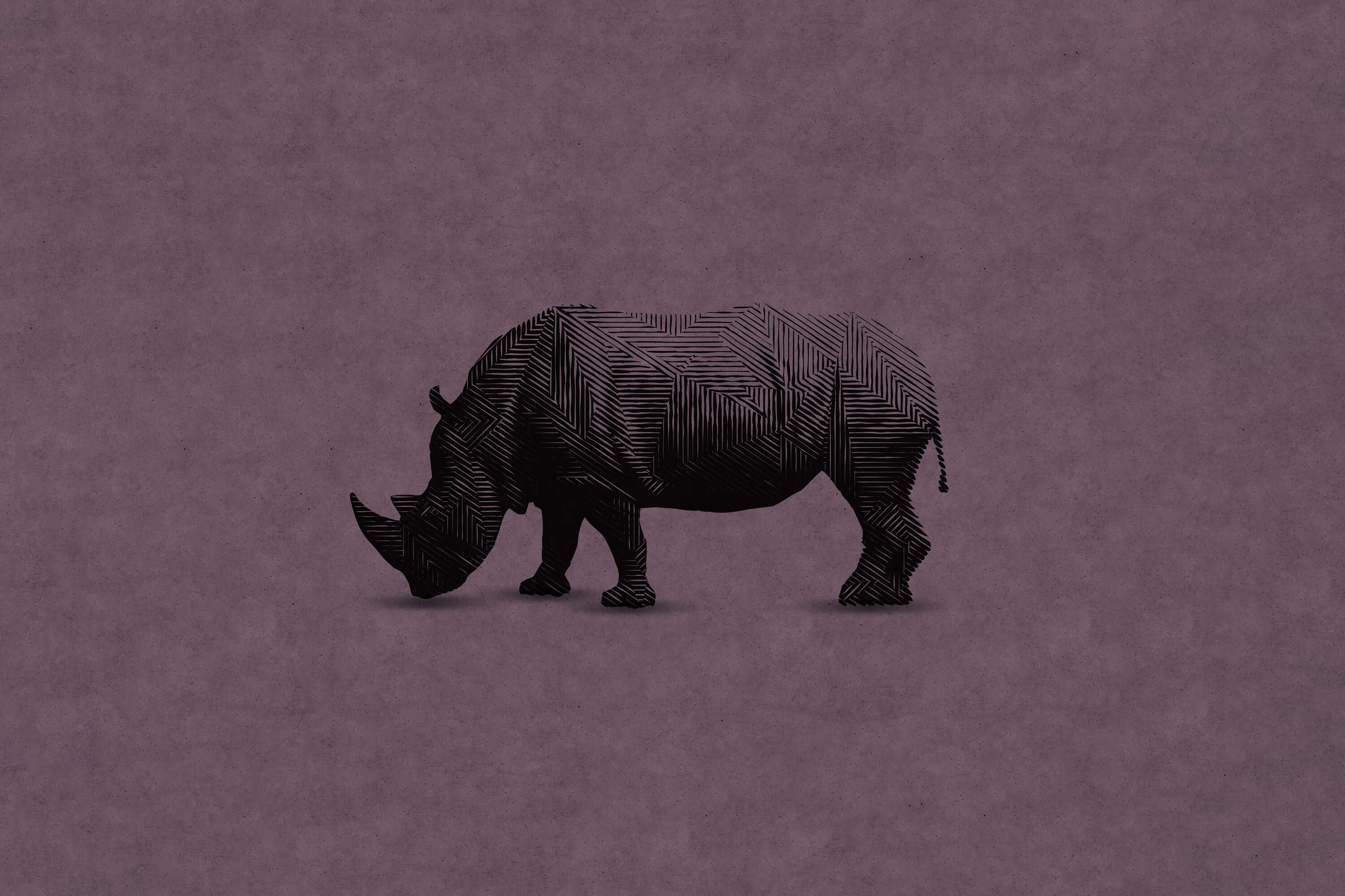 Tier, Elefant, Säugetier, Tierwelt, Nashorn