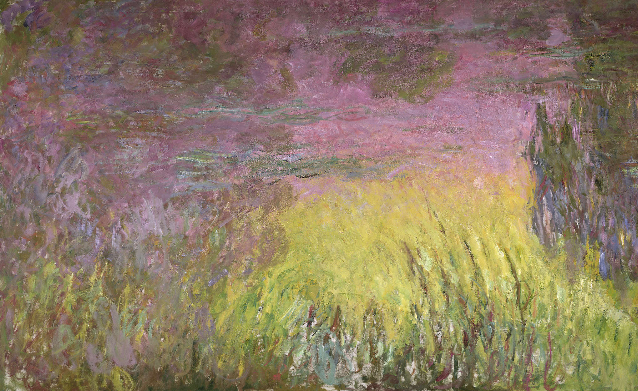 Fototapete 'Seerosen bei Sonnenuntergang' von Claude Monet