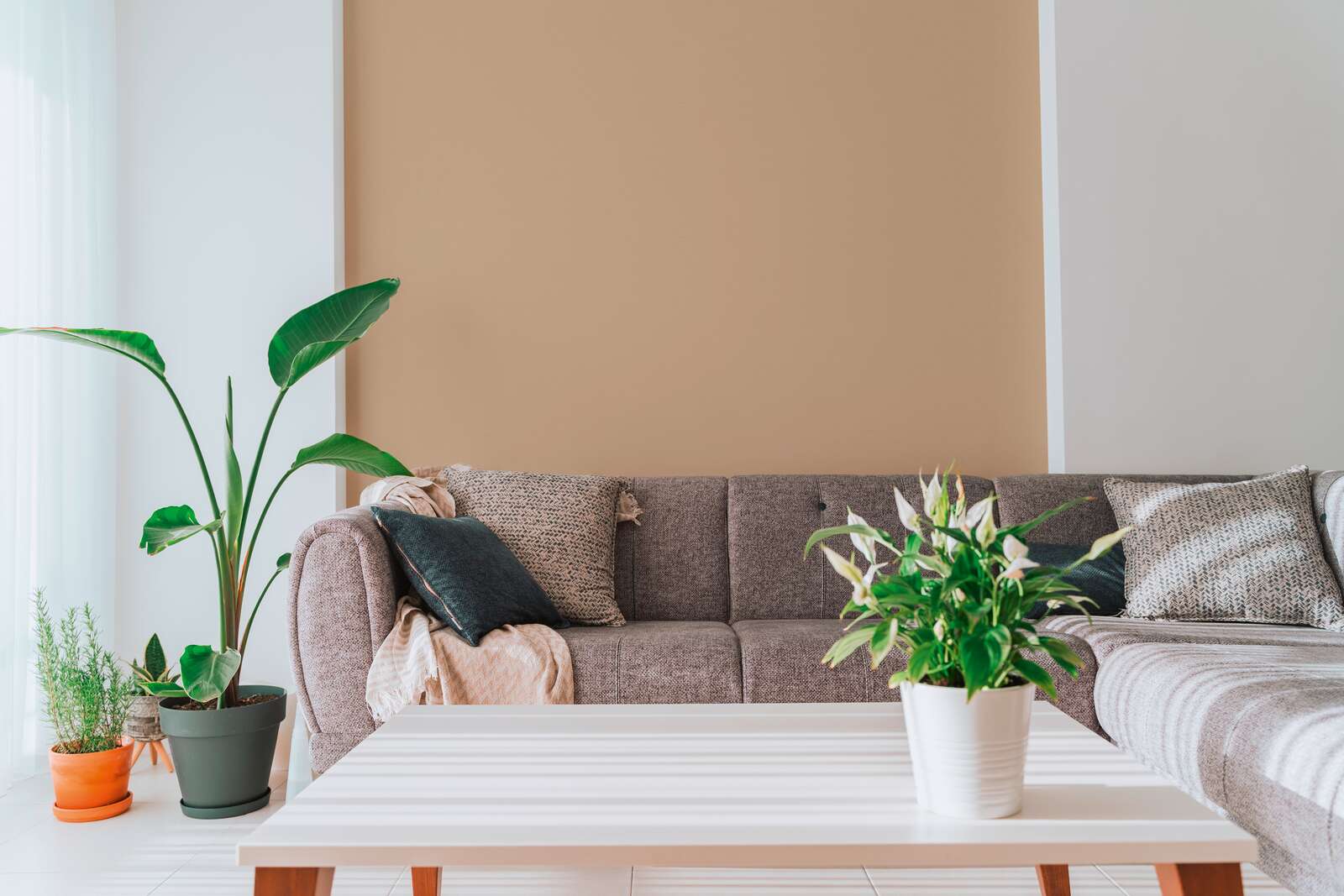 Innenarchitektur, Tabelle, Pflanze, Couch, Inneneinrichtung