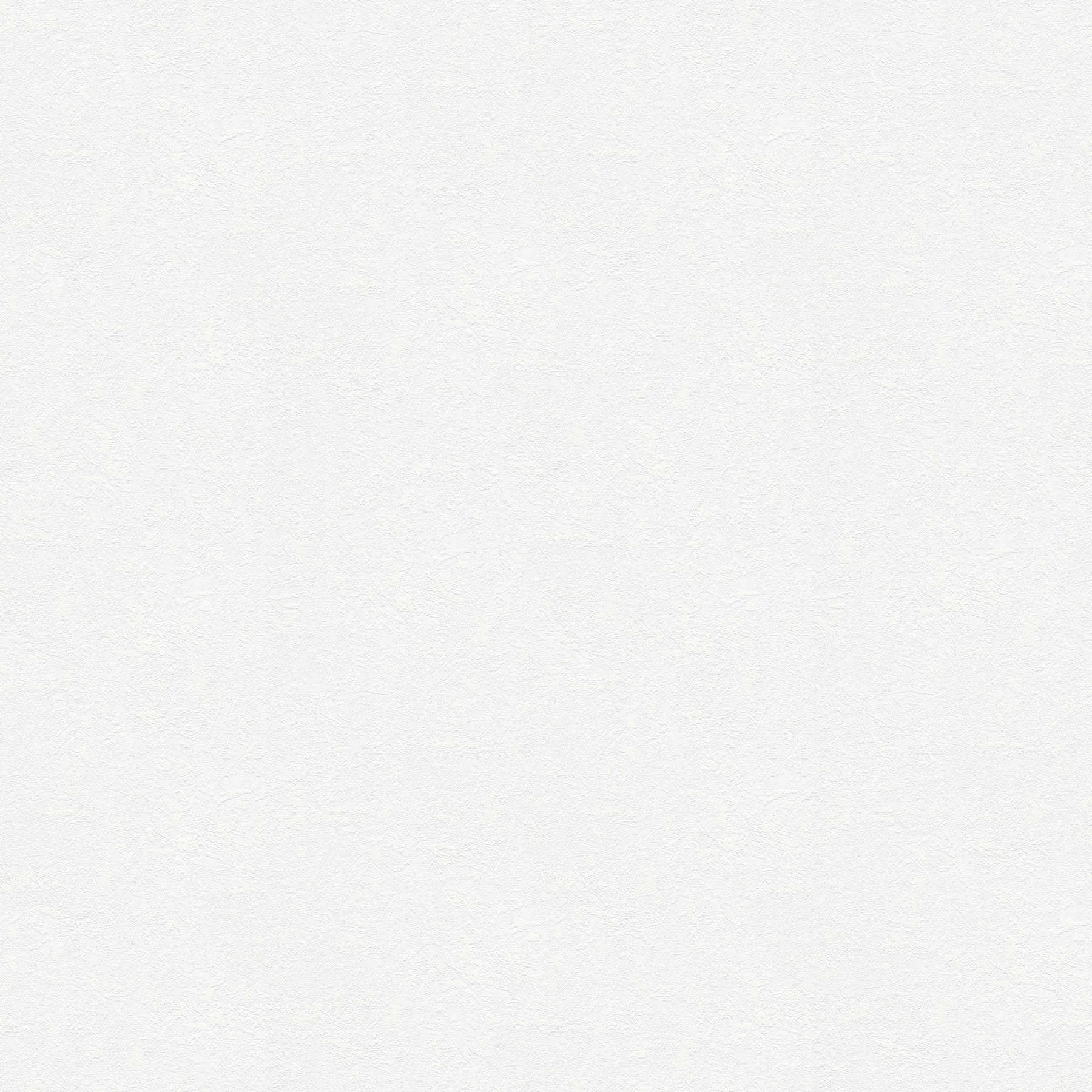         Plain wallpaper zuivere witte gipsstructuur
    
