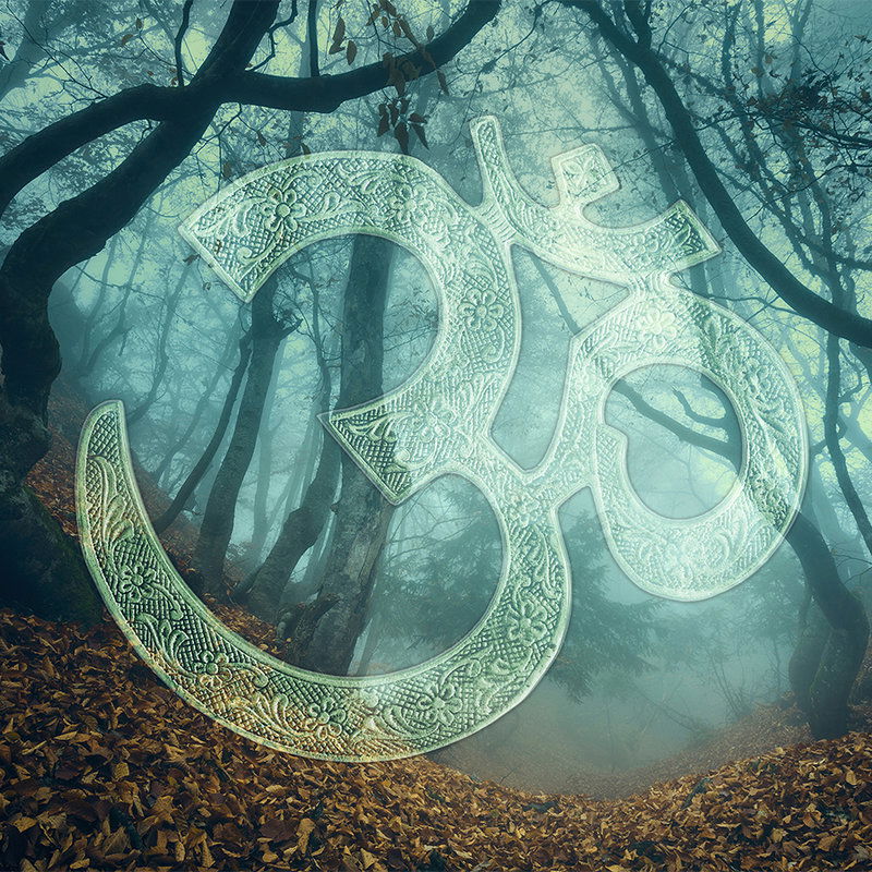 Pflanze, Vegetation, Draußen, Natur