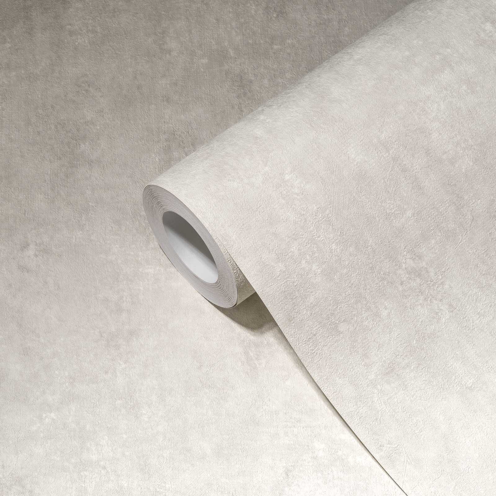             Putzoptik Tapete mit Struktureffekt in Hellgrau
        