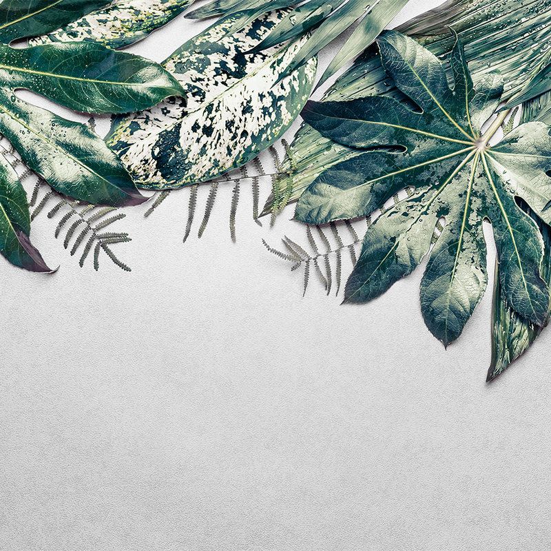         Livingwalls Fototapete Designwalls DD118550
    