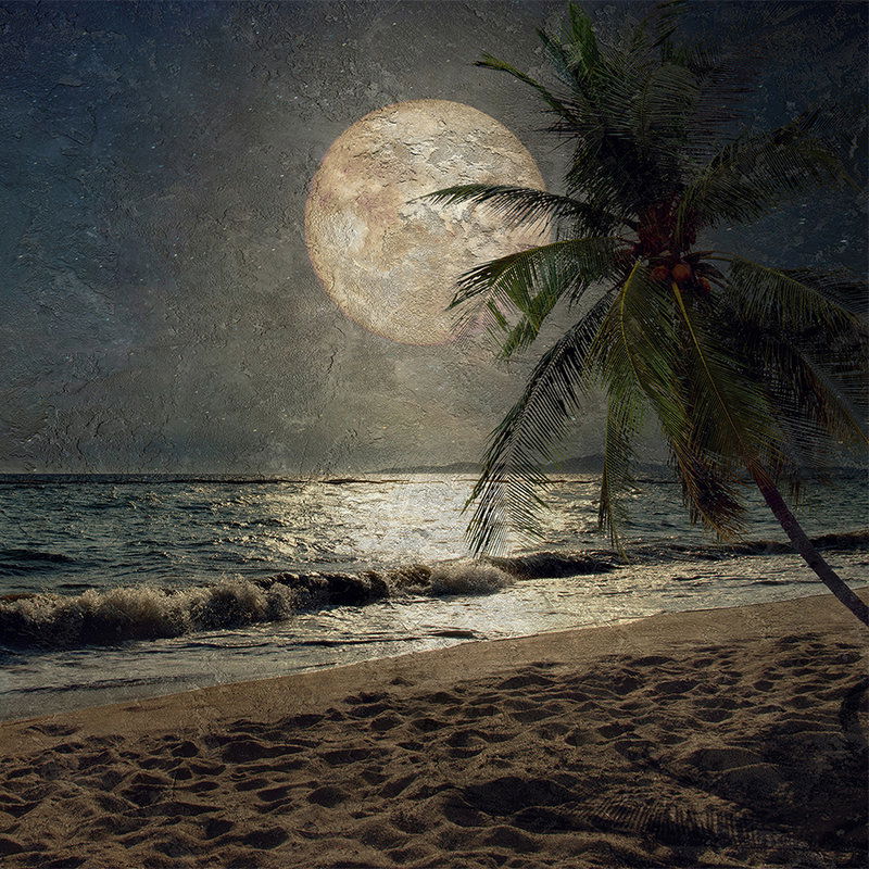 Natur, Nacht, Draußen, Mond, Strand