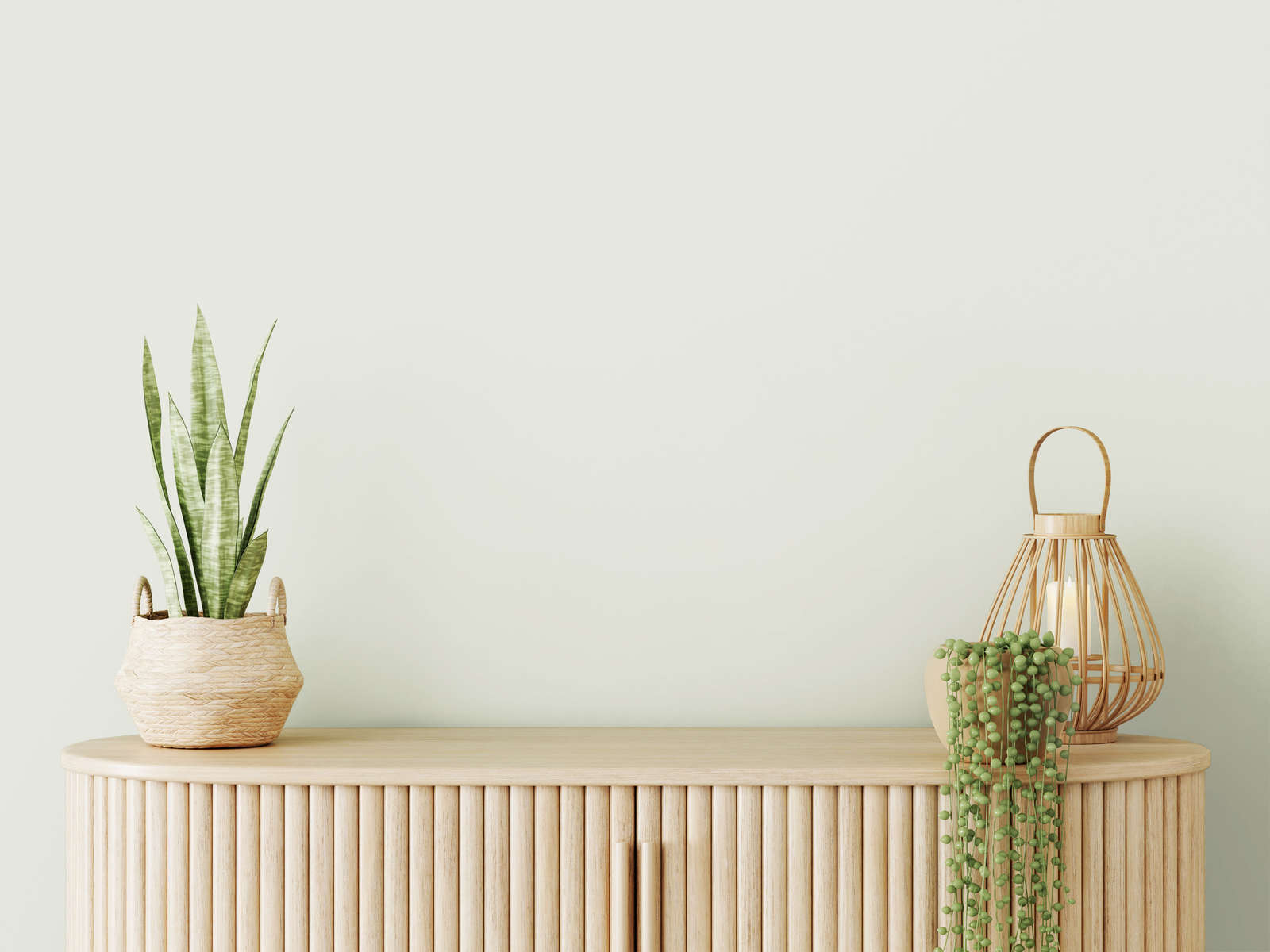 Pflanze, Pflanze im Topf, Innenarchitektur, Glas, Anrichte