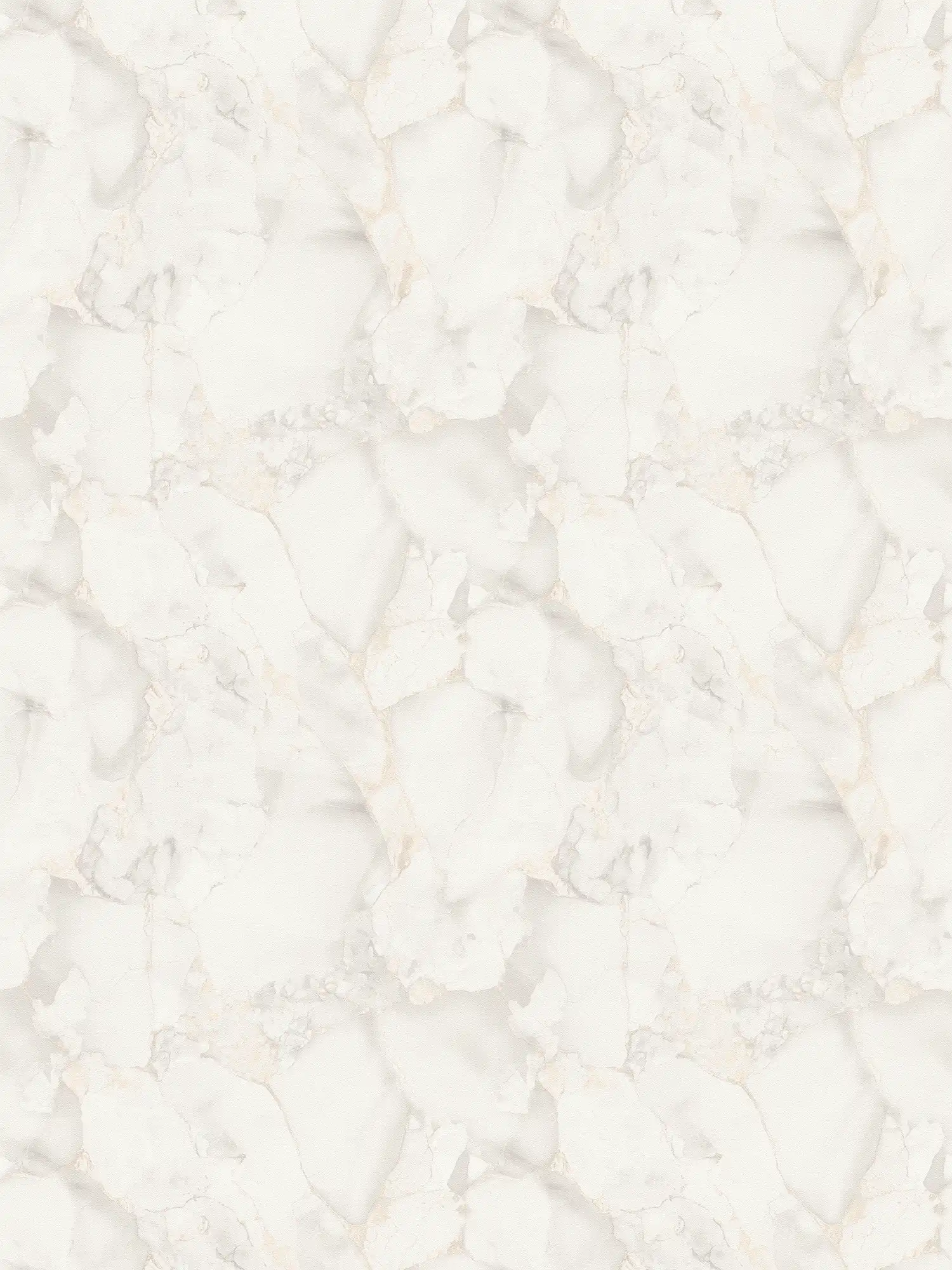         XXL vliesbehang - elegante marmerlook - 1,06m dubbele breedte - grijs
    