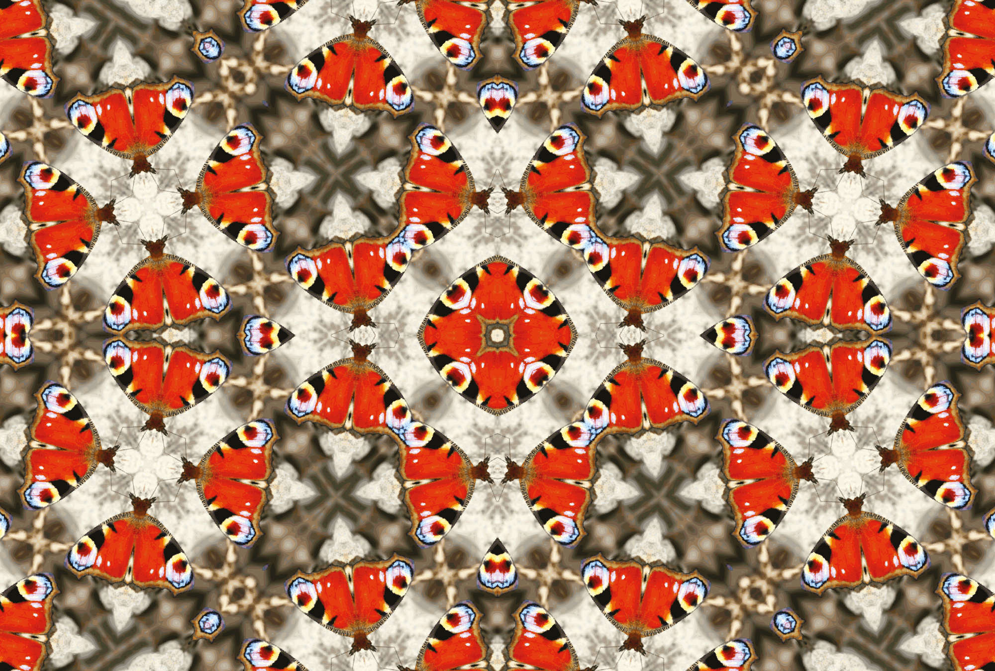 Schmetterling, Schmetterlingsmuster, Kaleidoskopisches Muster, Wanddeko, Textilprint