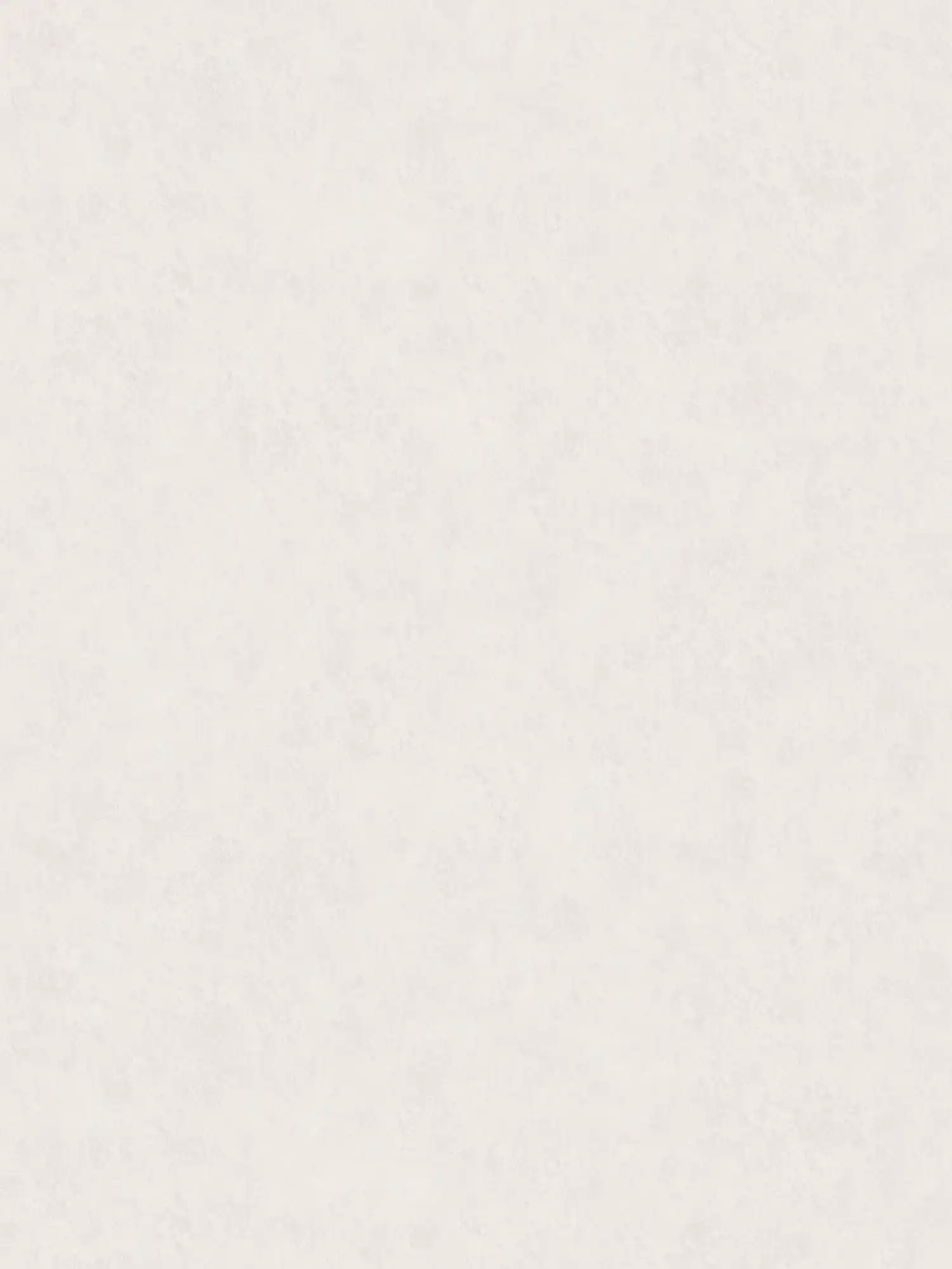         Vliestapete einfarbig in Putzoptik – Creme
    